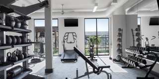 The Haven The Haven Gallery 10