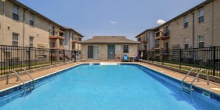 Sunset Woodland Gallery 19