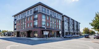 The Dahlia Gallery 1