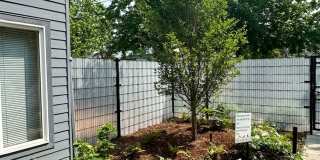 Interlake Apartments Gallery 8