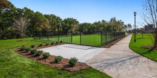 Molly Brook on Belmont Gallery 21