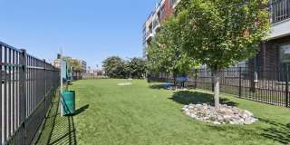 The View at Old City Gallery 31