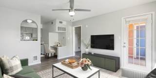 Palomar West Gallery 5