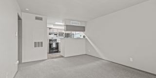 Rock 35 Gallery 38