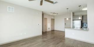 RIZE at Winter Springs Gallery 103