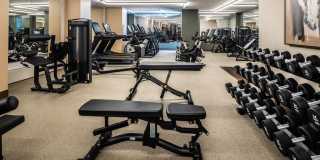 Avalon Morningside Park Gallery 25