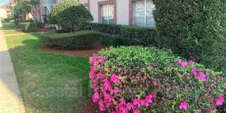 6424 SPRING FLOWER DRIVE Gallery 10