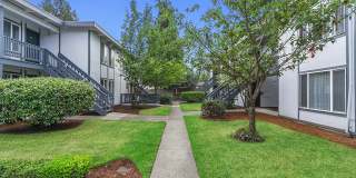 Capri Apartments Gallery 7
