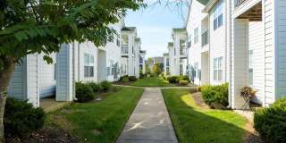 Emerald Lakes Gallery 15