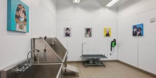 Bridge on Race Gallery 16