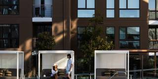 Avelle Gallery 11