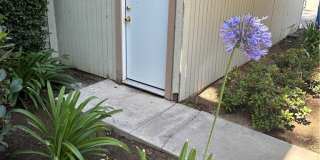 22141 Burbank Blvd, Unit 1 Gallery 24
