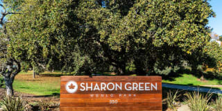 Sharon Green Gallery 8