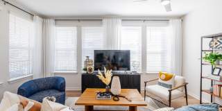 Alta Citron Gallery 65