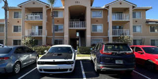 221 SW Palm Drive Gallery 1