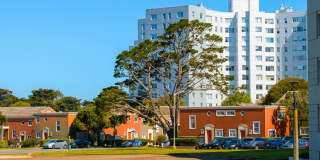 Parkmerced Gallery 27