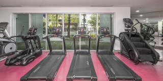 Society Westshore Apartments Gallery 8