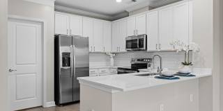 The Regency at Johns Creek Walk Gallery 2