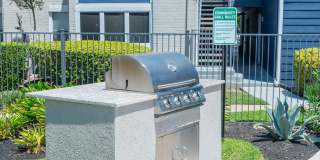 Willow Springs Gallery 19