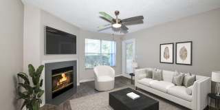 Paradise Island Gallery 11