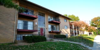 Springfield Gardens Gallery 12