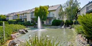 Hidden Silicon Valley Oasis! 2BR/2.5BA Townhome with TWO Private Patios, 2 Dedicated Parking Spaces, Pool, Tennis Courts & Utilities Included! Gallery 52