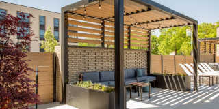 Senate at The Crosswalks Gallery 14