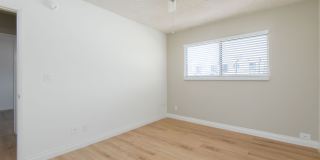 3810 Wade 3810 Wade Gallery 12