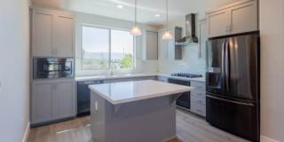 109 Tiger Lily St Gallery 7