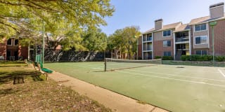 The Orion The Orion Gallery 33