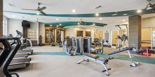 Sawmill Point Gallery 21