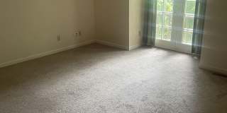 3016 Live Oak Gallery 10
