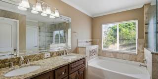 Gorgeous 4-Bedroom Single-Family Home with Pool in Summerfield Gallery 19