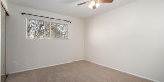 2311 W DEL ORO Circle Gallery 23