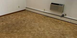 Nandale - Yellow Gallery 3