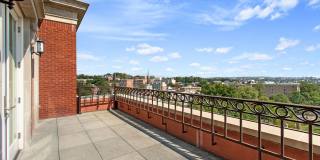 The Woodley Gallery 16