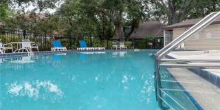 6908 ARBOR OAKS Circle Gallery 47