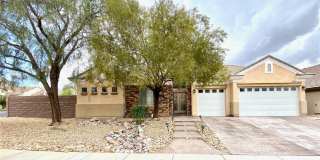 1127 Pinto Horse Avenue Gallery 1