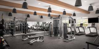 The Meadows Gallery 8