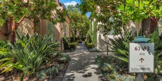 71 Tallowood Gallery 3