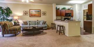 HemisView Village Gallery 5