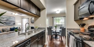 Mount Vernon Gallery 7