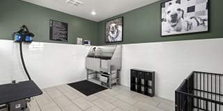 Indigo Stuart Gallery 29