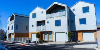 Mag02 - Sw Magnolia Gallery 1