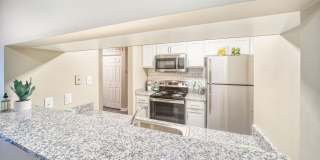 Buena Vista Gallery 27