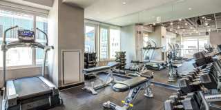 The Harlo Gallery 12