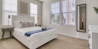 The Mason Gallery 19