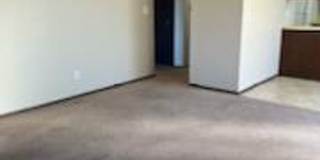 Pine Tree Flats Gallery 48