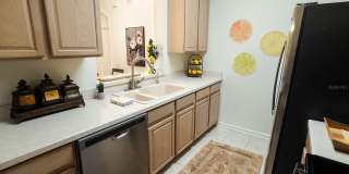 581 BRANTLEY TERRACE WAY Gallery 21