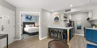 505 Collection Gallery 22